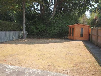 Picture 15